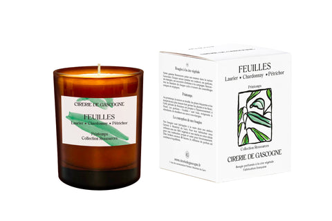 Bougie Feuilles Laurier - Chardonnay -Pétrichor